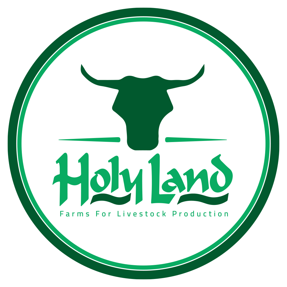 Holyland